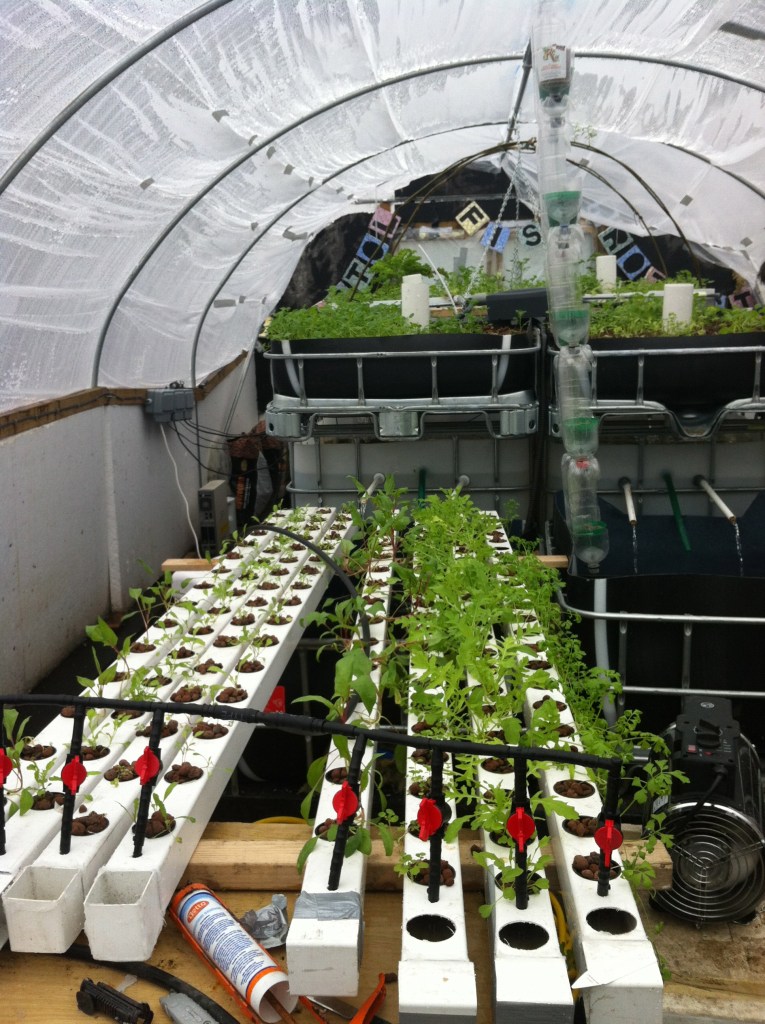 The NFT is looking fantastic