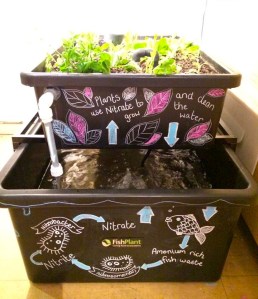 15471_860135020676678_7077188287049302858_n