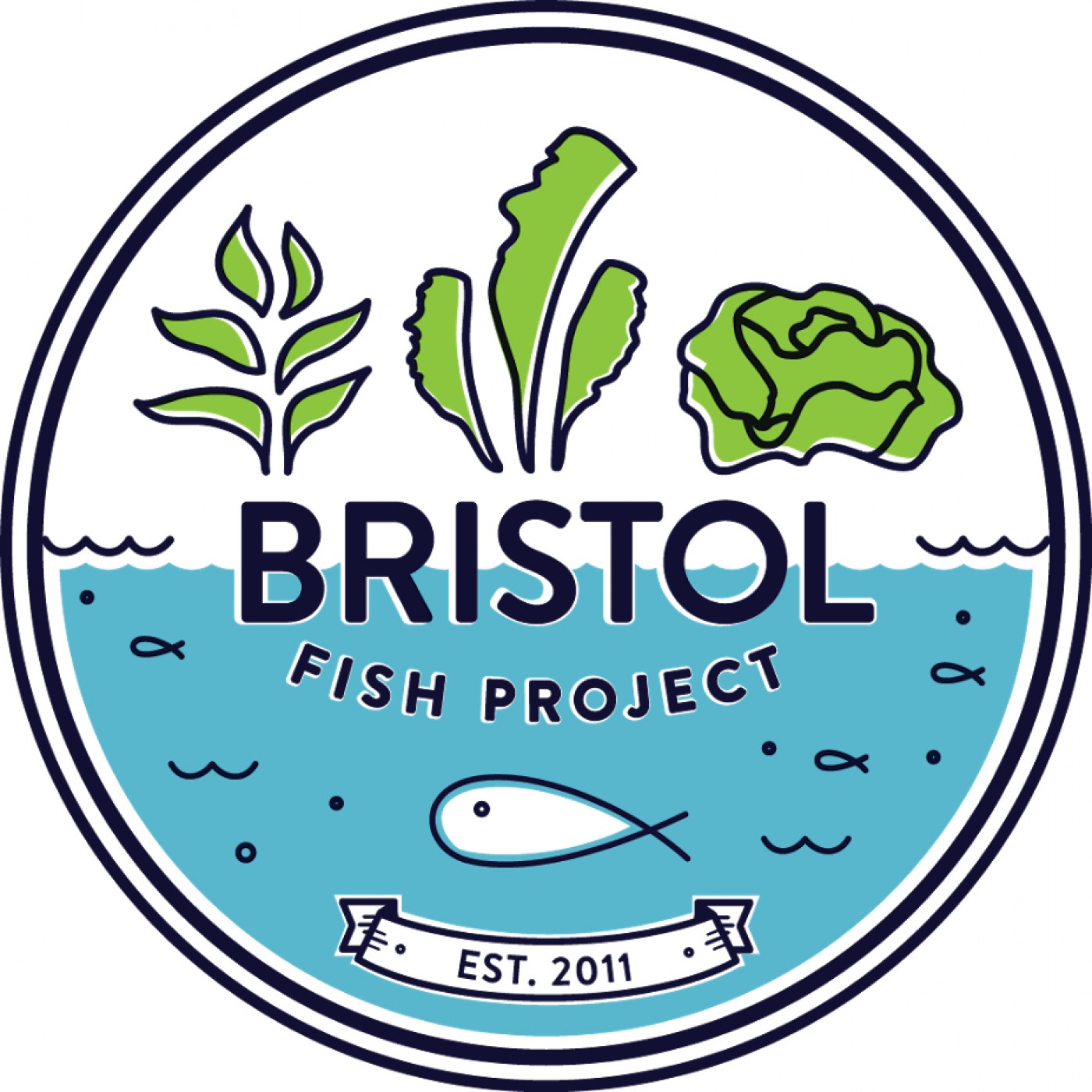 ristol Fish Project