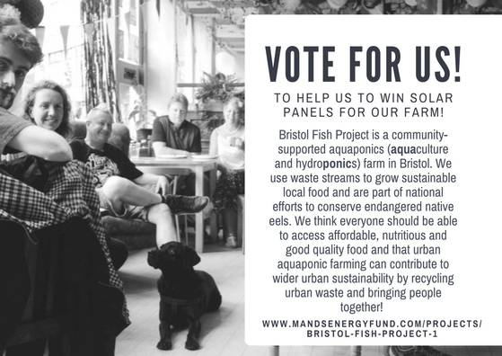 VOTE FOR US! (1).jpg